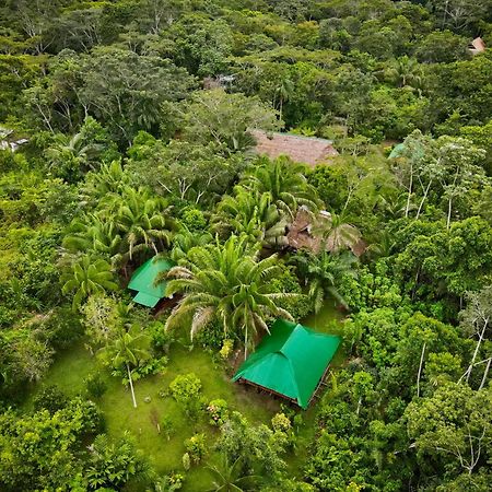 Tronco Tambopata Adventure Hotell Puerto Maldonado Exteriör bild