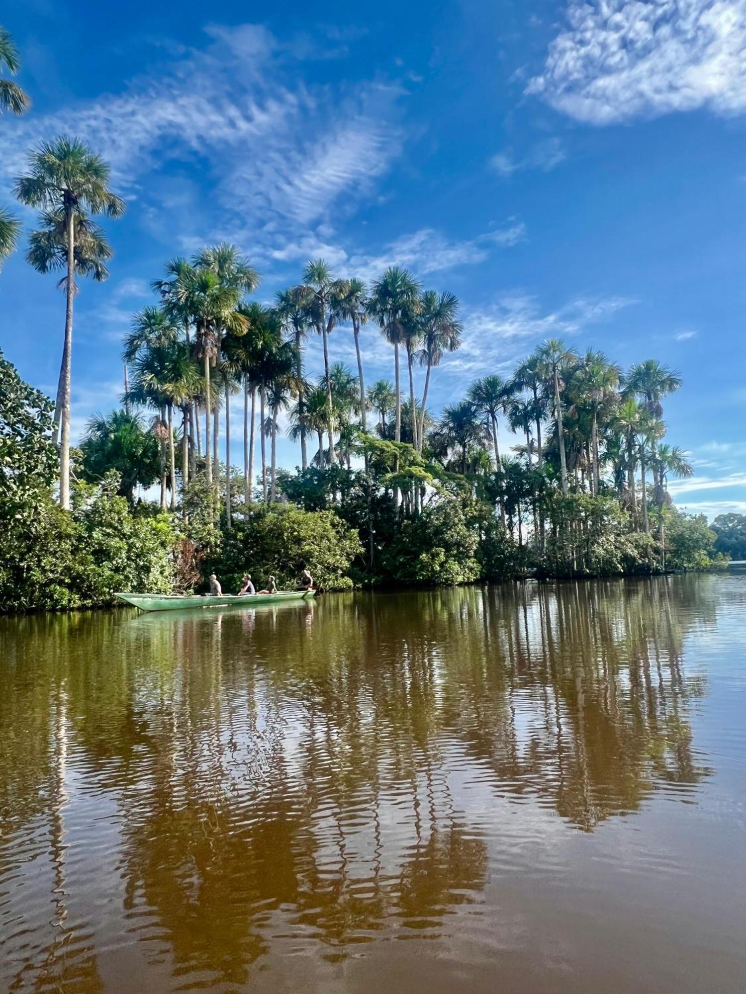 Tronco Tambopata Adventure Hotell Puerto Maldonado Exteriör bild