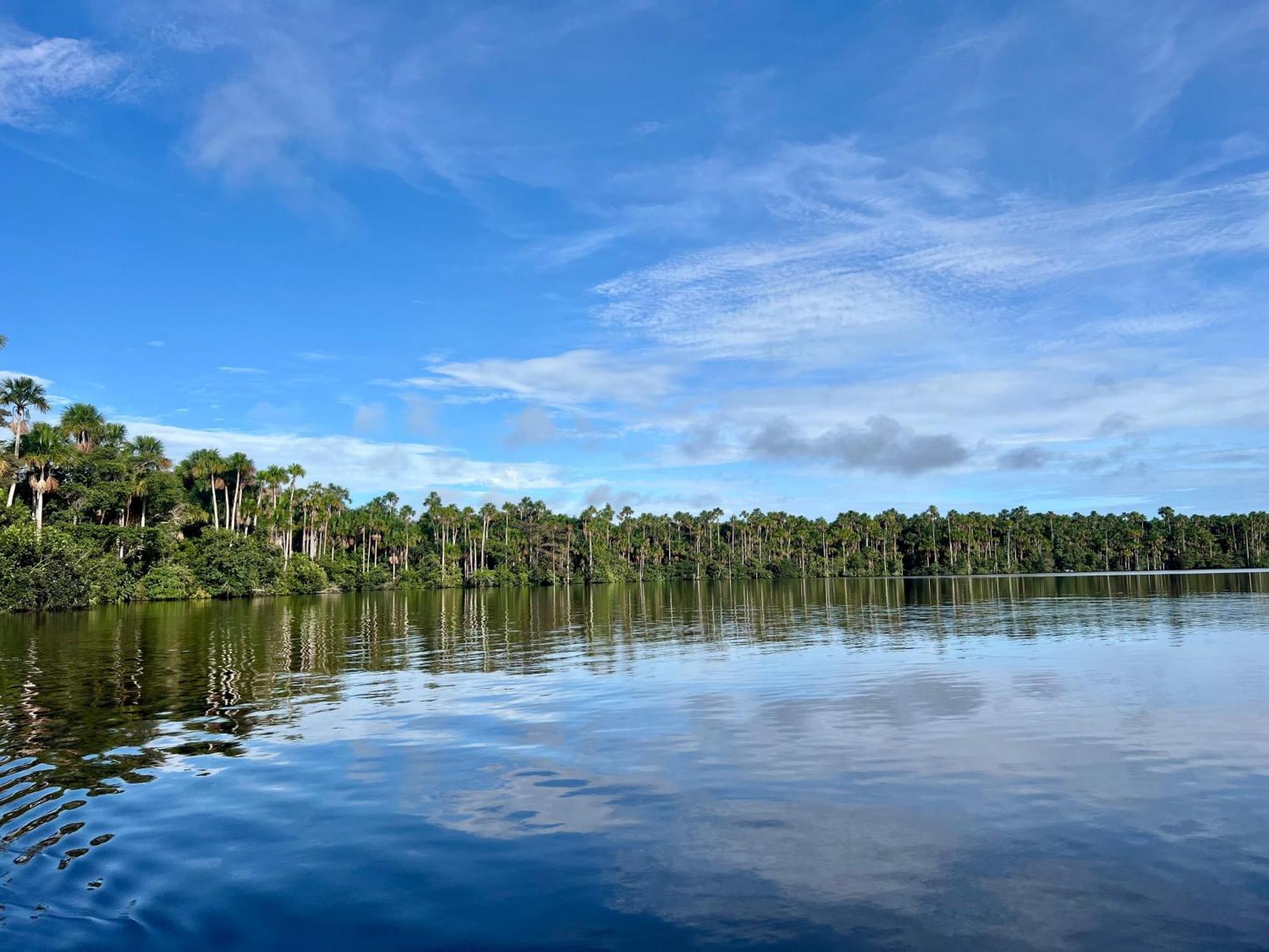 Tronco Tambopata Adventure Hotell Puerto Maldonado Exteriör bild