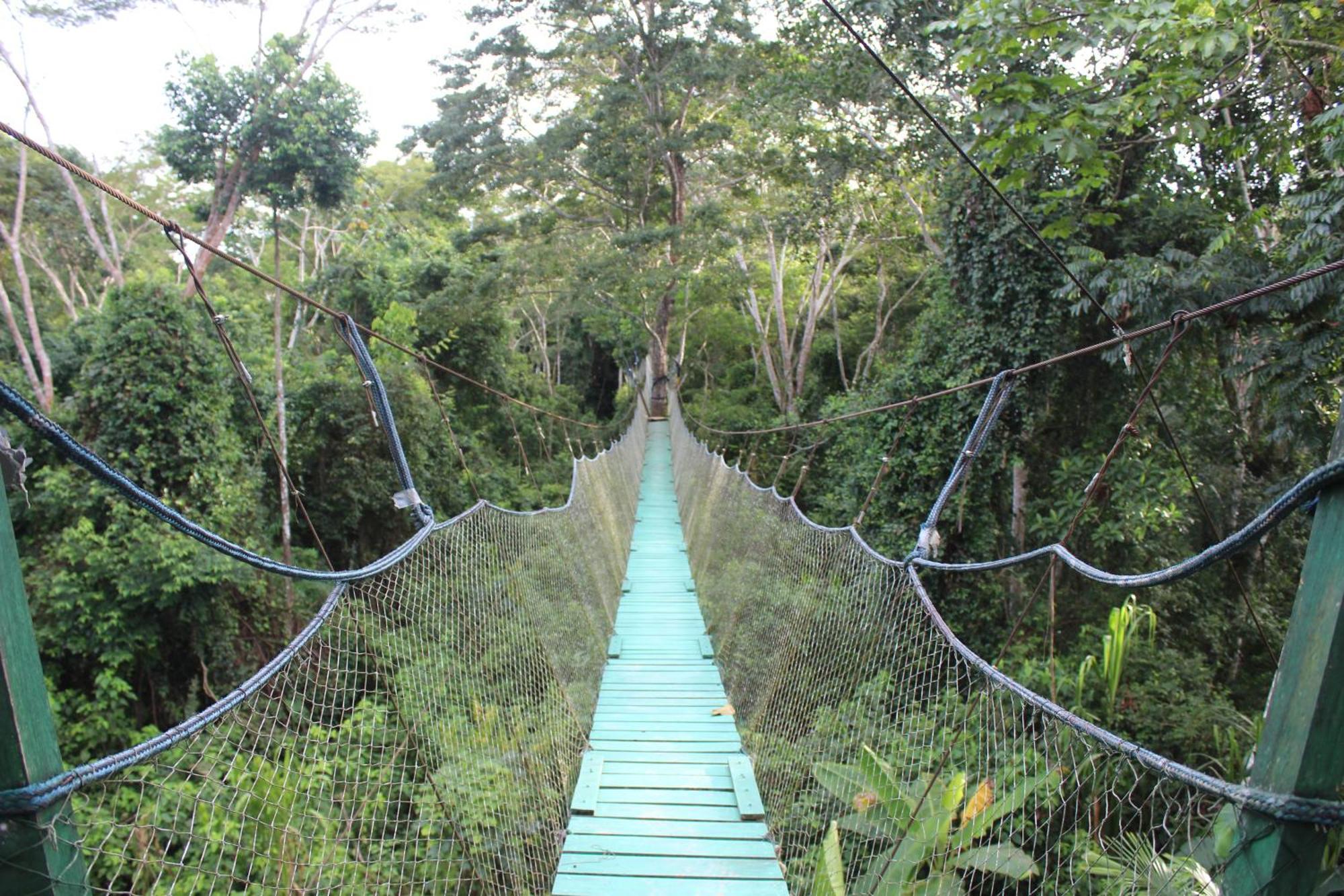 Tronco Tambopata Adventure Hotell Puerto Maldonado Exteriör bild
