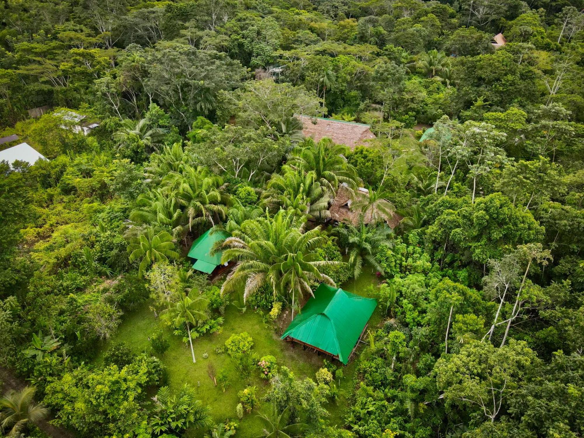 Tronco Tambopata Adventure Hotell Puerto Maldonado Exteriör bild