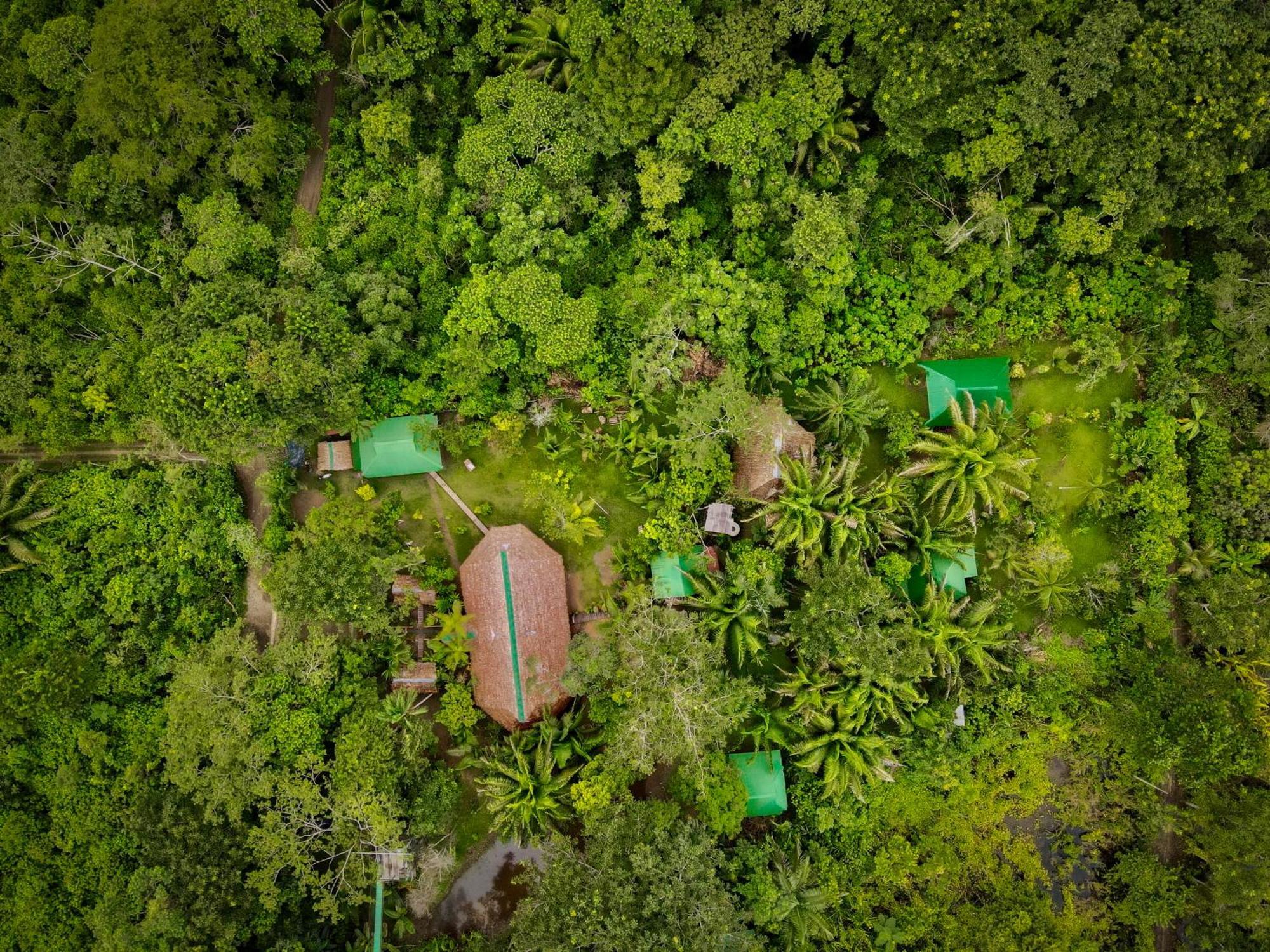 Tronco Tambopata Adventure Hotell Puerto Maldonado Exteriör bild