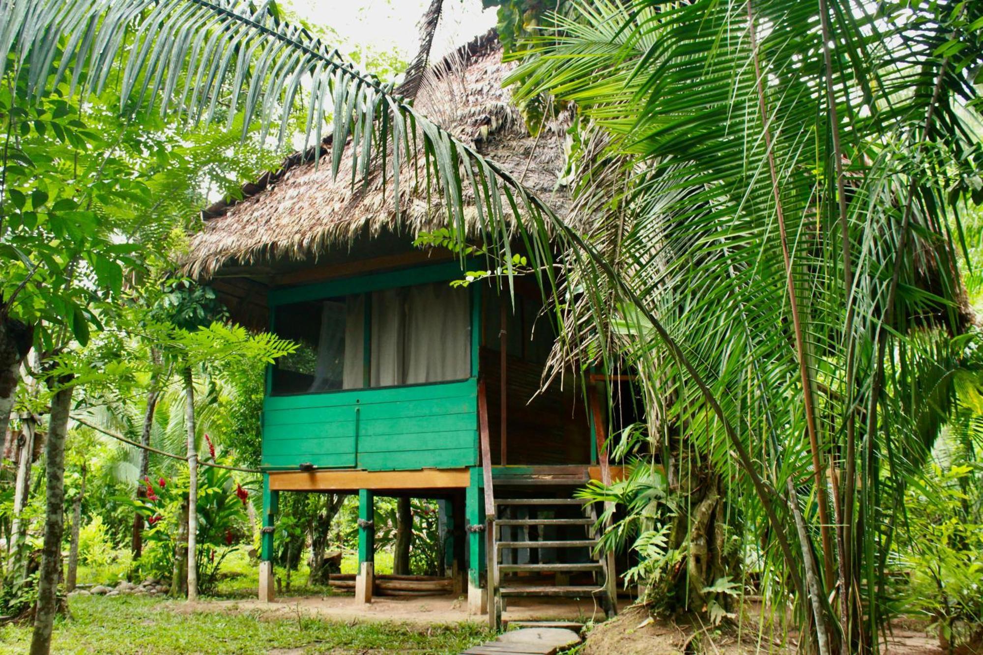 Tronco Tambopata Adventure Hotell Puerto Maldonado Exteriör bild
